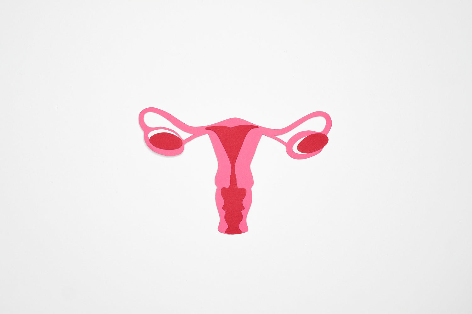 What Is a Pap Smear?